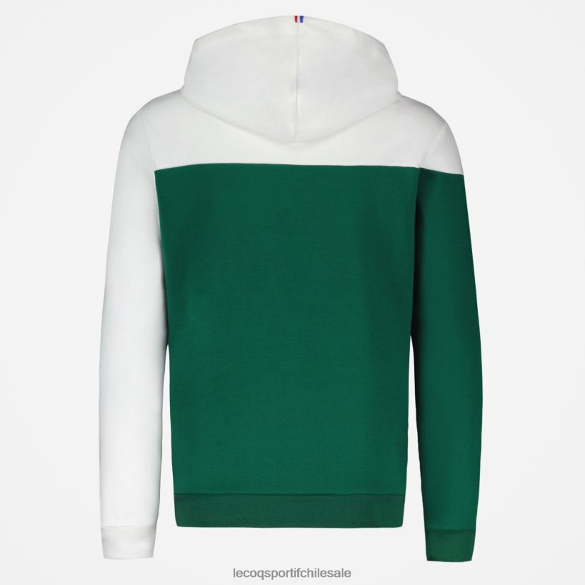 hombres sudadera con capucha verde T24B2436 Le Coq Sportif ropa