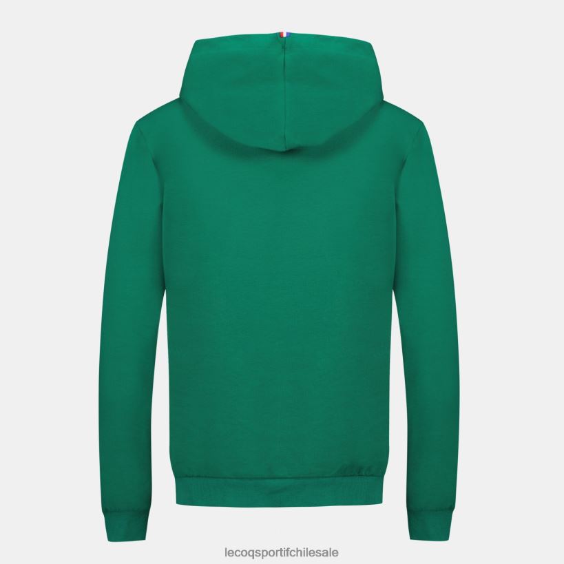 mujer sudadera con capucha verde T24B2310 Le Coq Sportif ropa