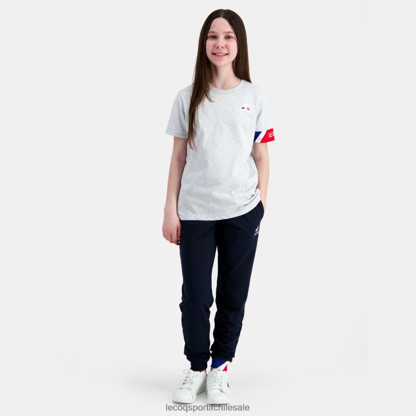 niños camiseta gris T24B2384 Le Coq Sportif ropa