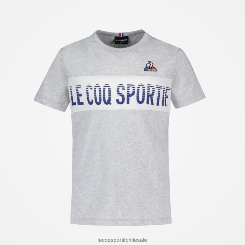 niños camiseta gris T24B2640 Le Coq Sportif ropa