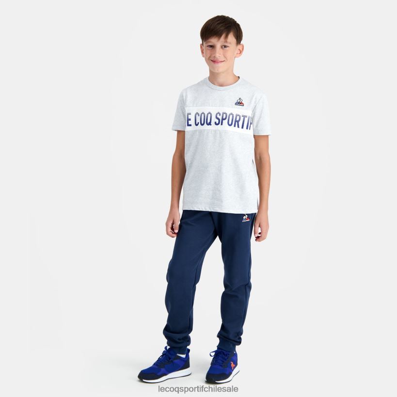 niños camiseta gris T24B2640 Le Coq Sportif ropa