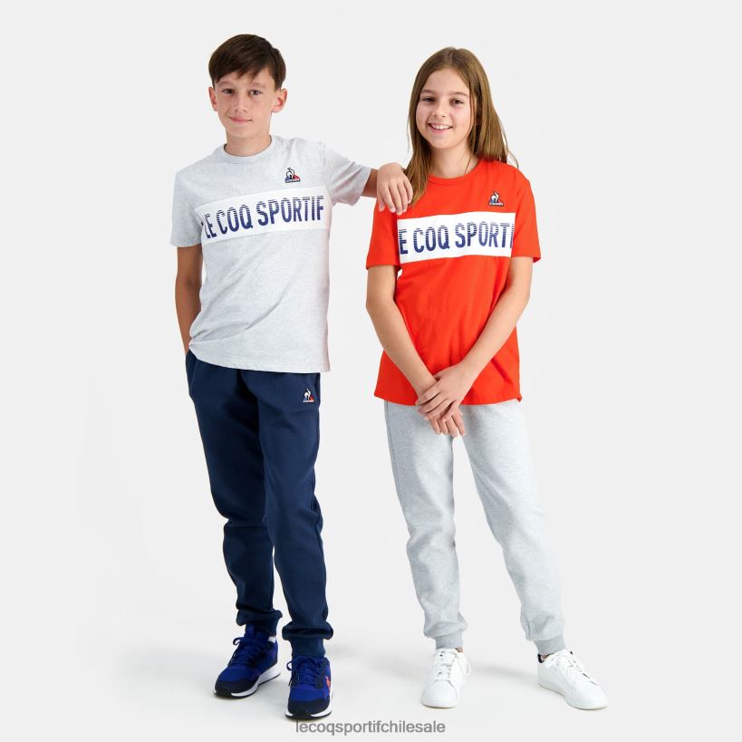 niños camiseta gris T24B2640 Le Coq Sportif ropa