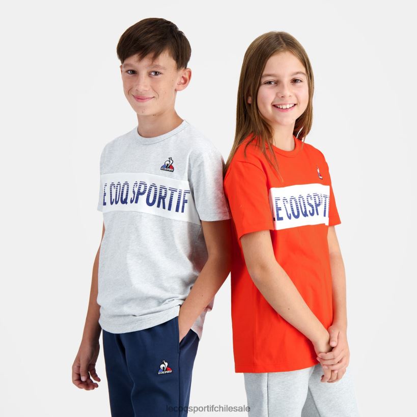 niños camiseta gris T24B2640 Le Coq Sportif ropa