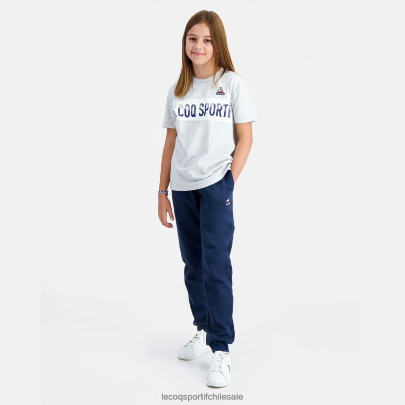 niños camiseta gris T24B2640 Le Coq Sportif ropa
