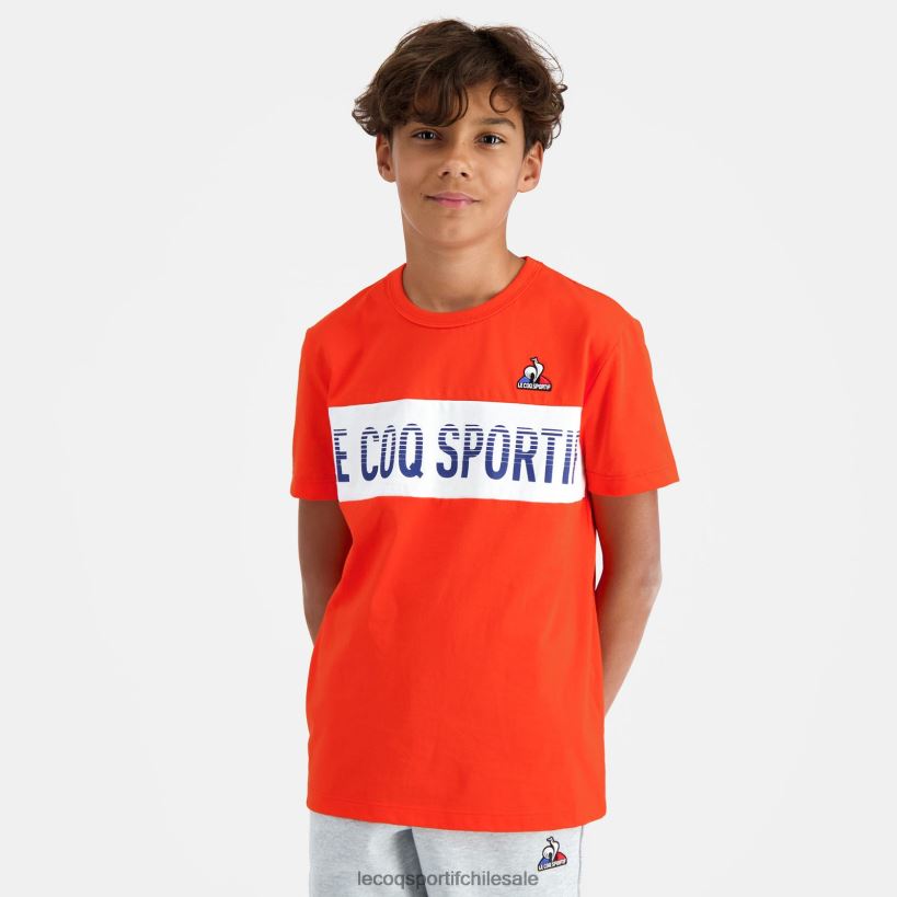 niños camiseta multicolor T24B2645 Le Coq Sportif ropa