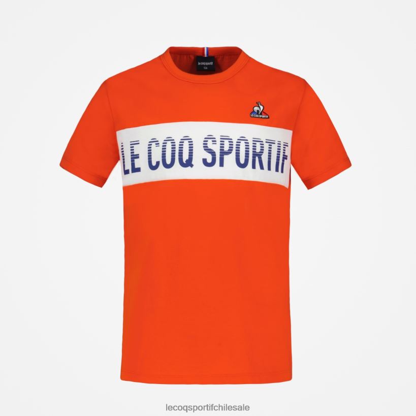 niños camiseta multicolor T24B2645 Le Coq Sportif ropa
