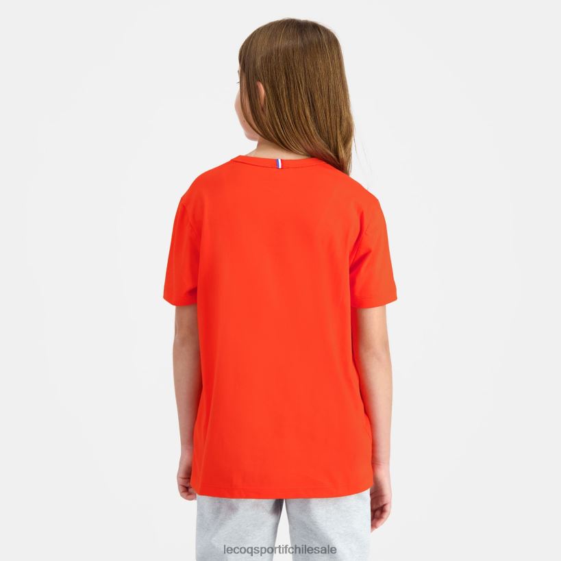 niños camiseta multicolor T24B2645 Le Coq Sportif ropa