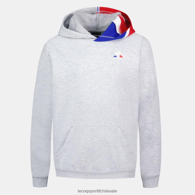 niños sudadera con capucha gris T24B2393 Le Coq Sportif ropa