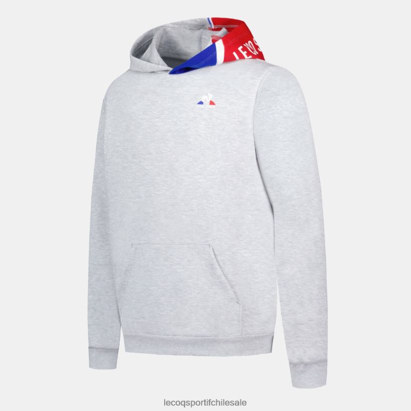 niños sudadera con capucha gris T24B2393 Le Coq Sportif ropa